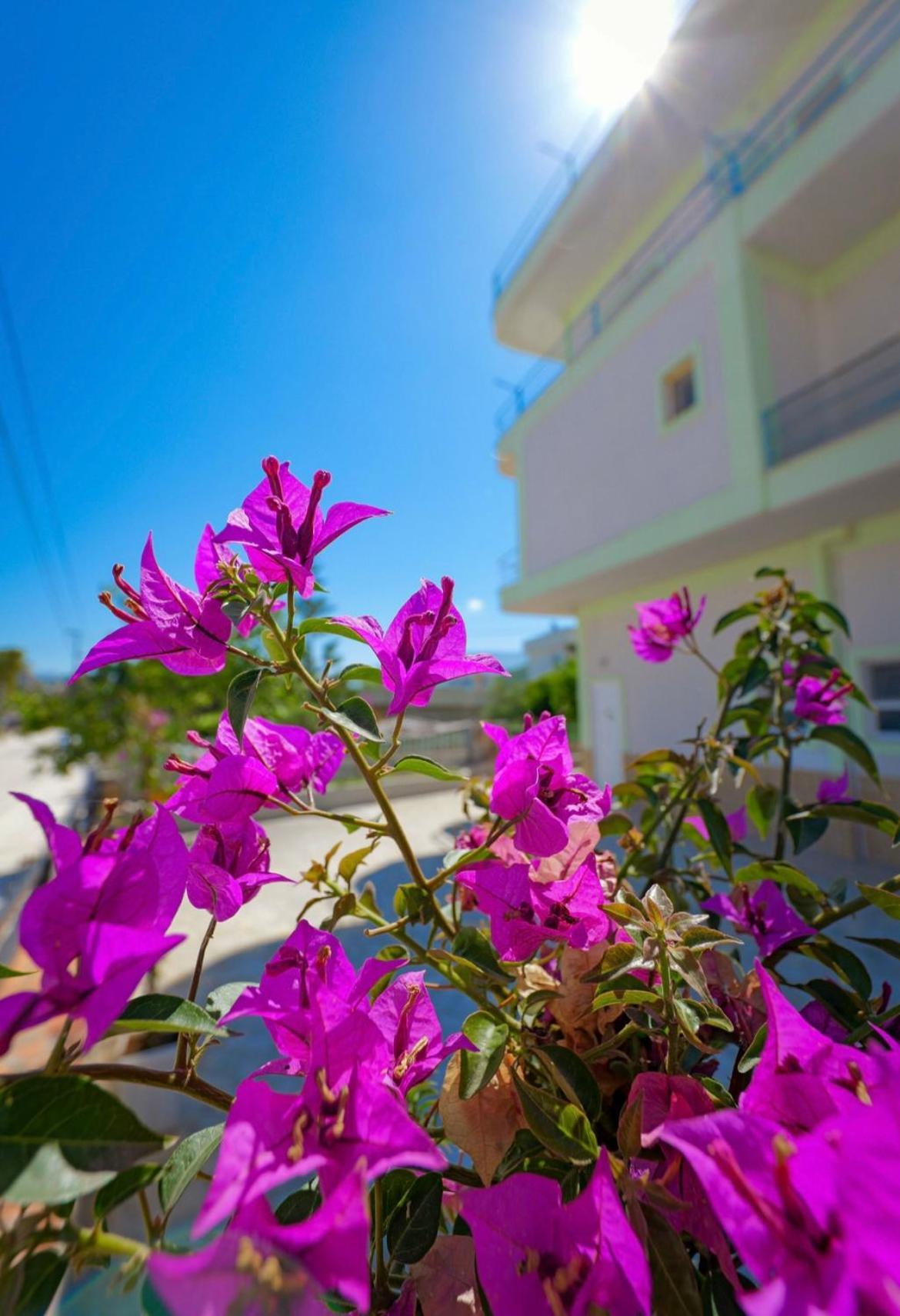 Sunflower Hotel Ksamil Exterior photo